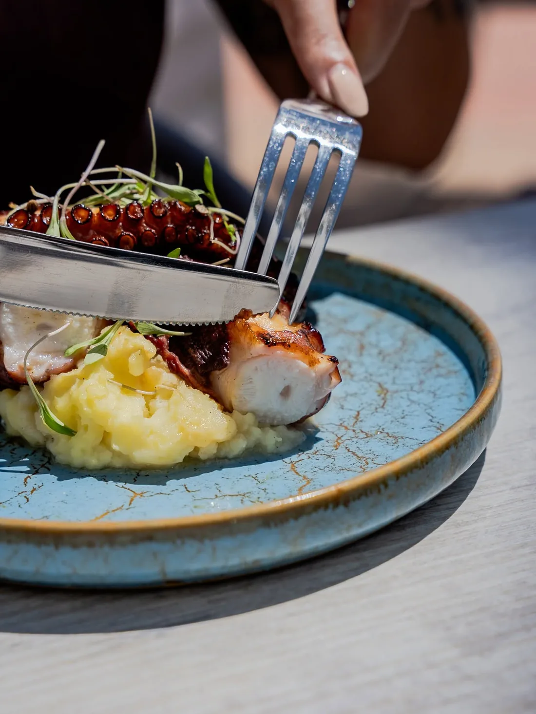 Grilled octopus
